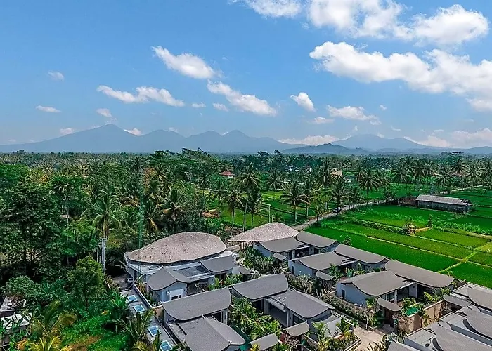 Daun Lebar ホテル 4*